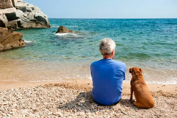 1 in 6 British expats over 65 in Spain, are covered by an Avalon Funeral Plan.